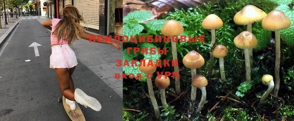 прущие крисы Абинск
