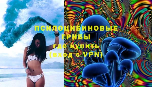 прущие крисы Абинск