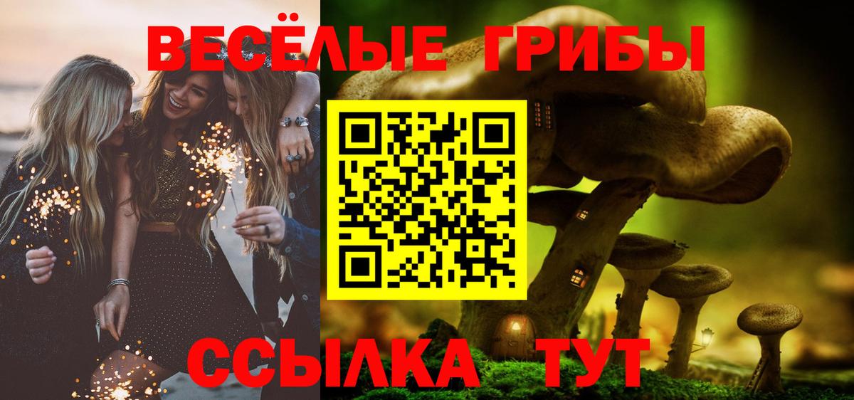 Сальск  Галлюциногенные грибы прущие грибы  Вход с VPN  Псилоцибиновые грибы Psilocybine cubensis 